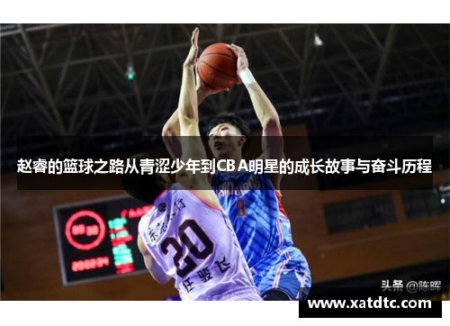 赵睿的篮球之路从青涩少年到CBA明星的成长故事与奋斗历程